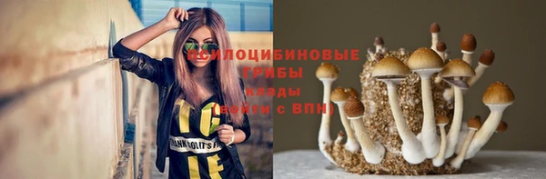 PSILOCYBIN Покачи