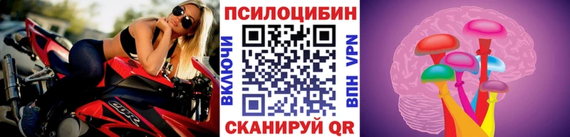hydra вход  Железногорск-Илимский  Галлюциногенные грибы Psilocybe 